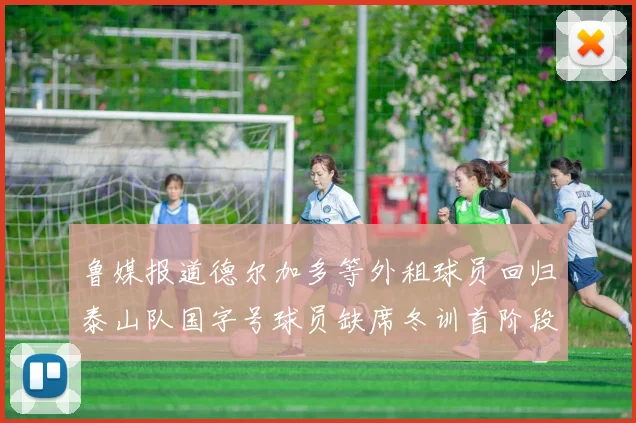鲁媒报道德尔加多等外租球员回归泰山队国字号球员缺席冬训首阶段