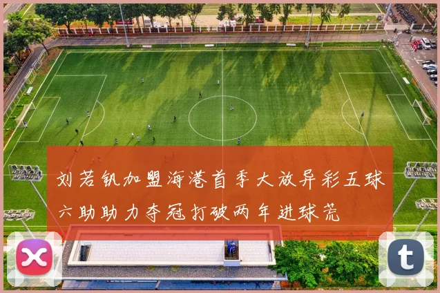 刘若钒加盟海港首季大放异彩五球六助助力夺冠打破两年进球荒