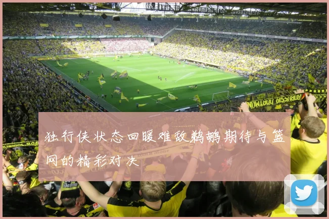 独行侠状态回暖难敌鹈鹕期待与篮网的精彩对决